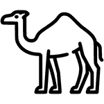 Desert animals - Icon