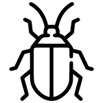 Insects and bugs - Icon