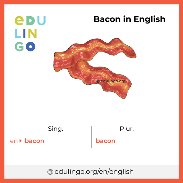 Bacon in English vocabulary picture with singular and plural for download and printing