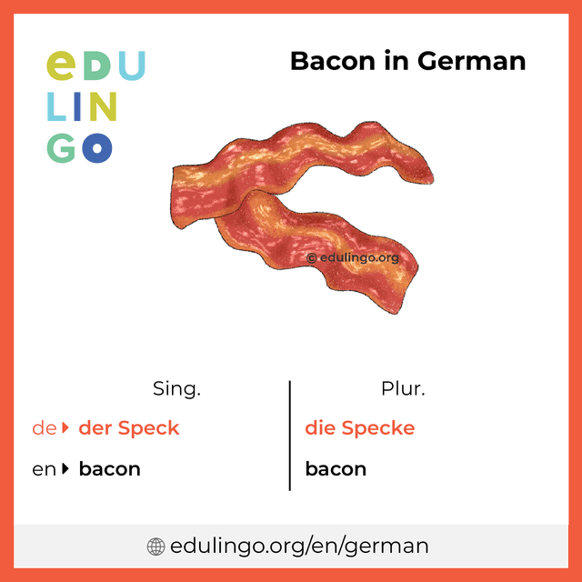 Bacon in German vocabulary picture with singular and plural for download and printing