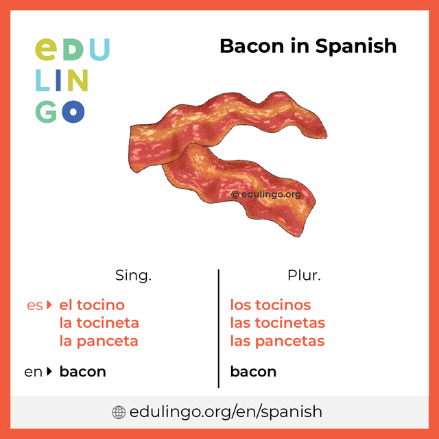 Bacon in Spanish vocabulary picture with singular and plural for download and printing