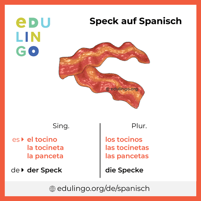 Speck auf Spanisch Vokabelbild mit Singular und Plural zum Herunterladen und Ausdrucken