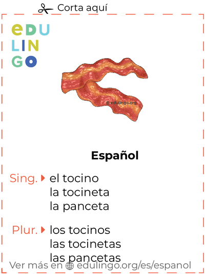 Ficha de Vocabulario Tocino en español para imprimir, practicar y aprender