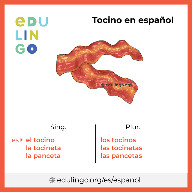 Imagen de vocabulario Tocino en español con singular y plural para descargar e imprimir