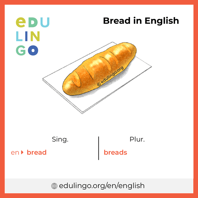 Bread in English vocabulary picture with singular and plural for download and printing