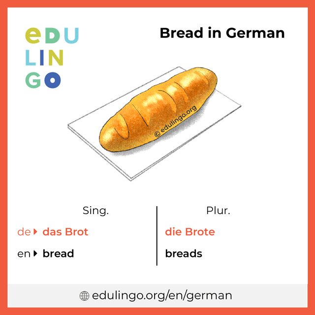 Bread in German vocabulary picture with singular and plural for download and printing