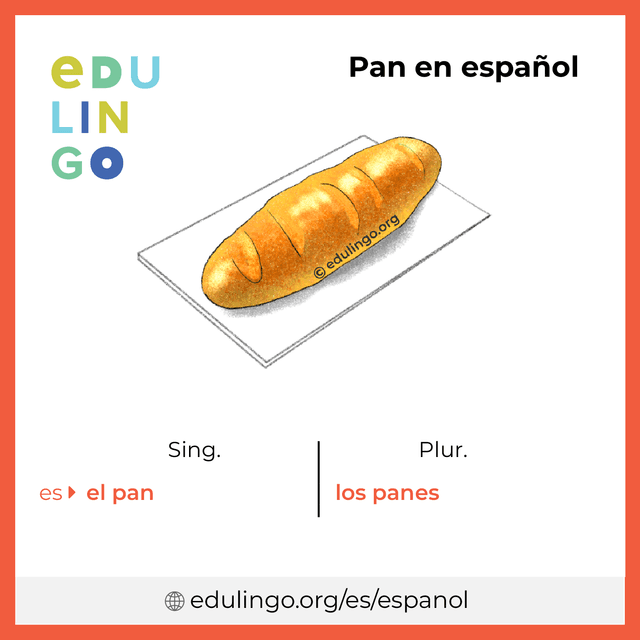 Imagen de vocabulario Pan en español con singular y plural para descargar e imprimir