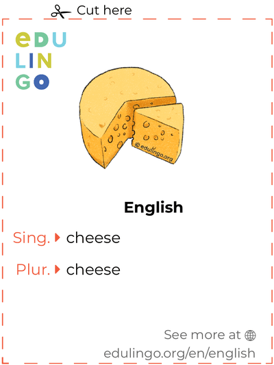 Cheese in English vocabulary flashcard for printing, practicing and learning