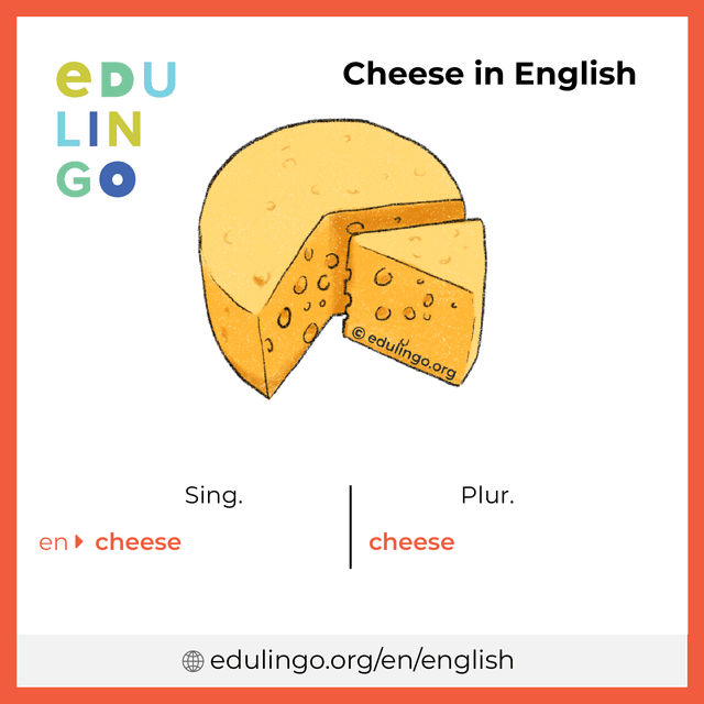 Cheese in English vocabulary picture with singular and plural for download and printing