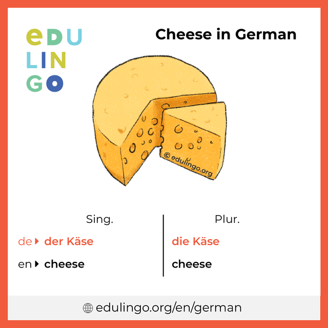 Cheese in German vocabulary picture with singular and plural for download and printing