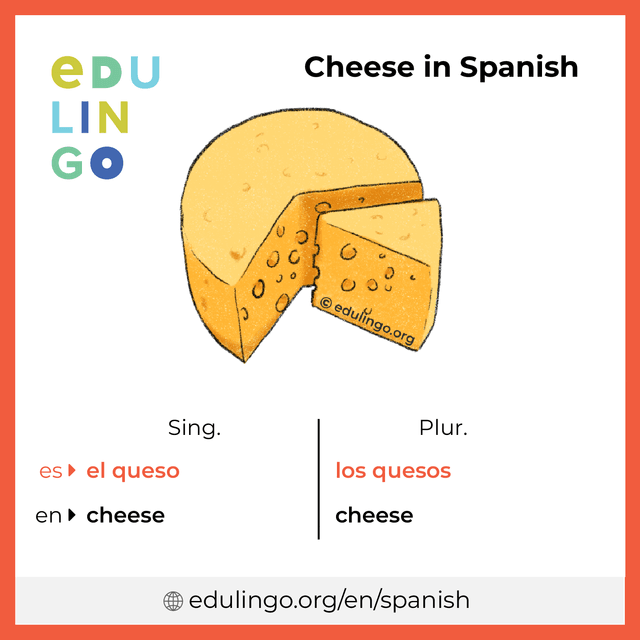 Cheese in Spanish vocabulary picture with singular and plural for download and printing