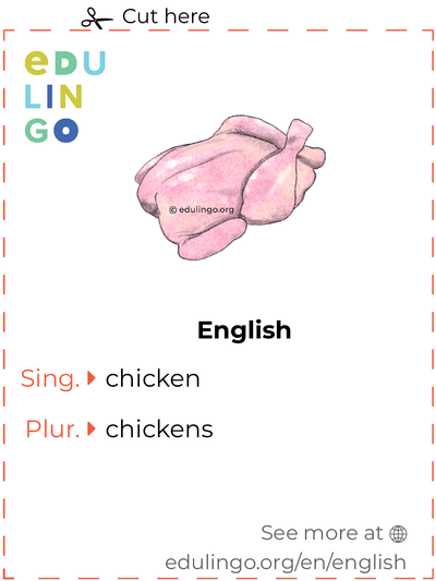 Chicken in English vocabulary flashcard for printing, practicing and learning