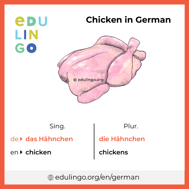 Chicken in German vocabulary picture with singular and plural for download and printing