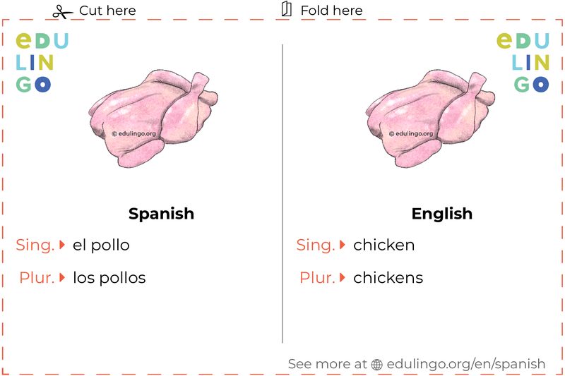 Chicken in Spanish vocabulary flashcard for printing, practicing and learning