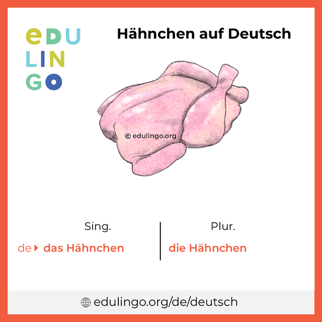Hähnchen auf Deutsch Vokabelbild mit Singular und Plural zum Herunterladen und Ausdrucken