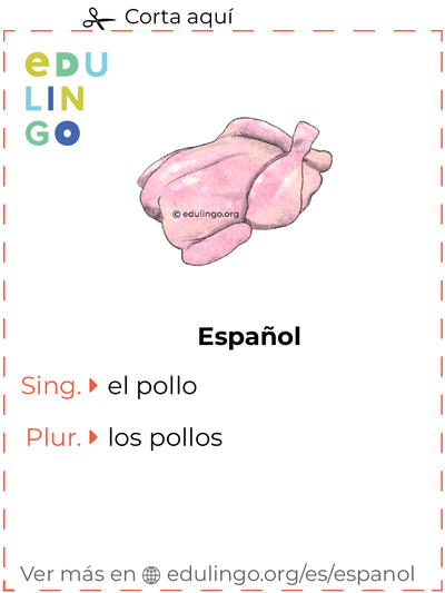 Ficha de Vocabulario Pollo en español para imprimir, practicar y aprender