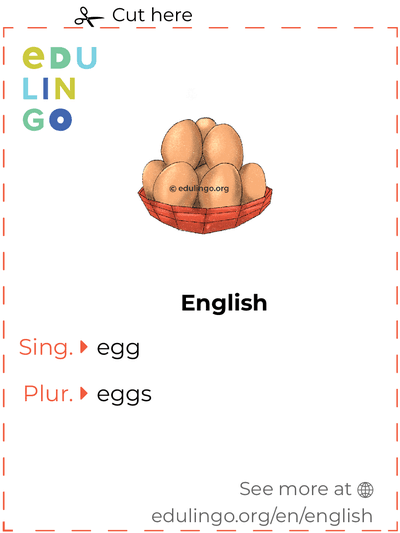 Egg in English vocabulary flashcard for printing, practicing and learning