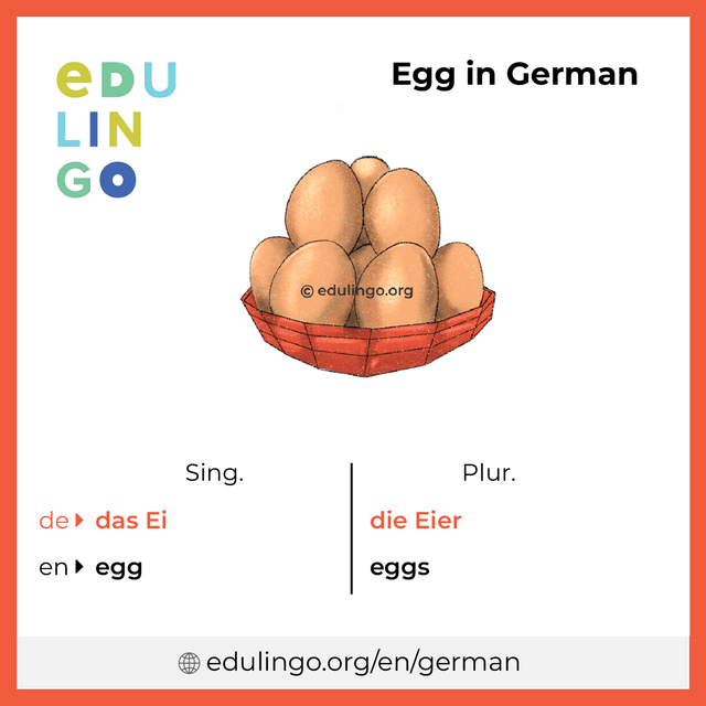 Egg in German vocabulary picture with singular and plural for download and printing