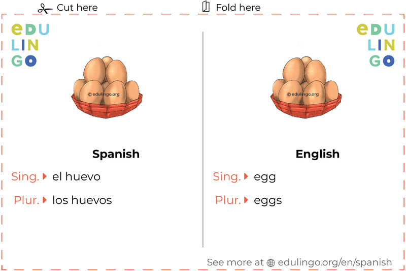 Egg in Spanish vocabulary flashcard for printing, practicing and learning