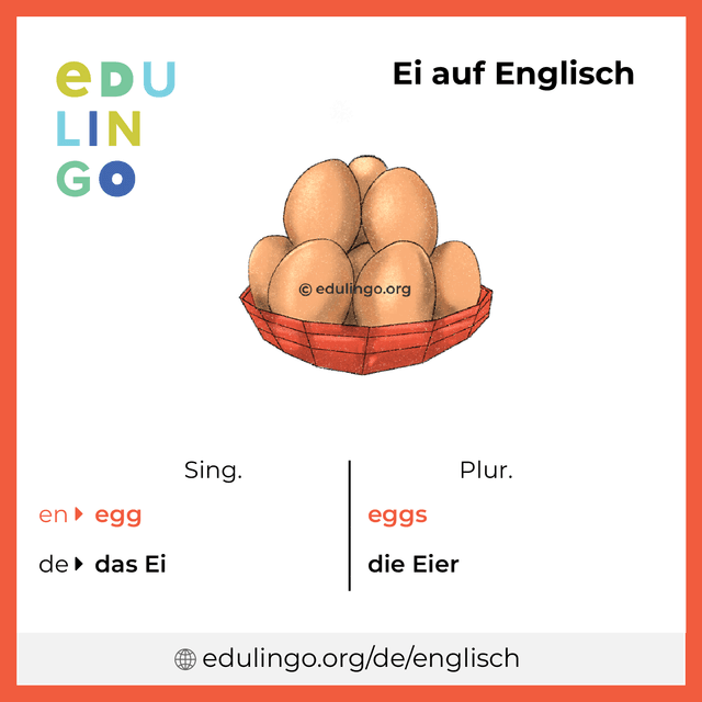 Ei auf Englisch Vokabelbild mit Singular und Plural zum Herunterladen und Ausdrucken
