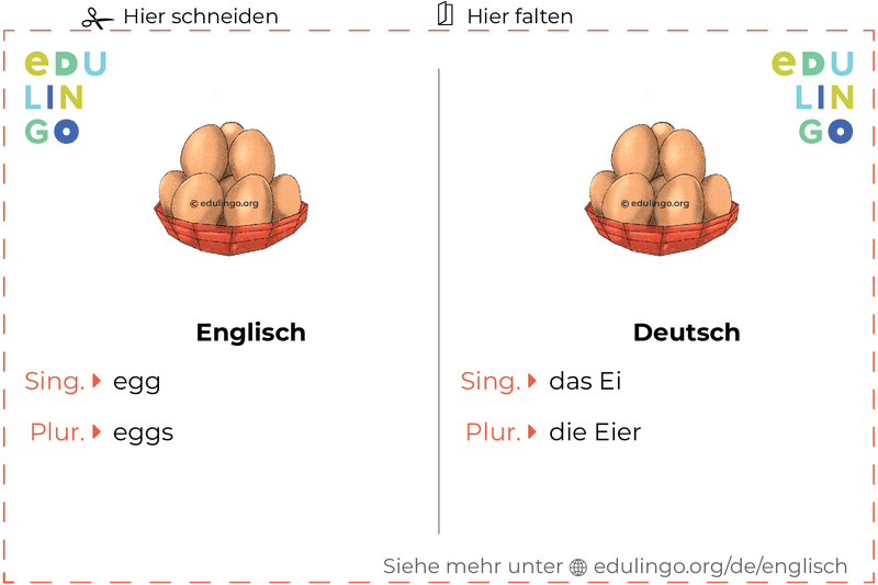 Ei auf Englisch Vokabelkartei zum Ausdrucken, Üben und Lernen