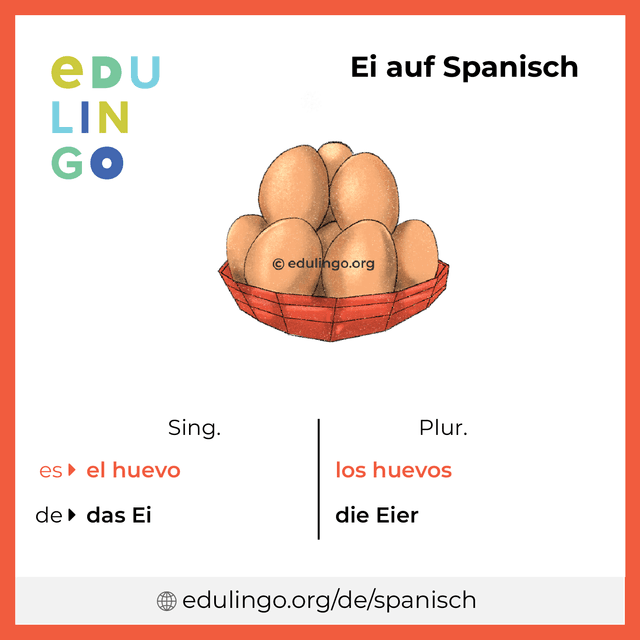 Ei auf Spanisch Vokabelbild mit Singular und Plural zum Herunterladen und Ausdrucken