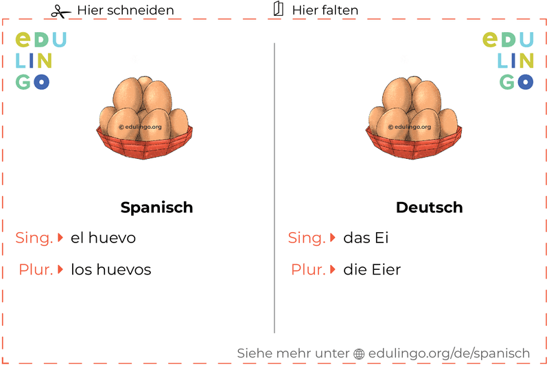 Ei auf Spanisch Vokabelkartei zum Ausdrucken, Üben und Lernen