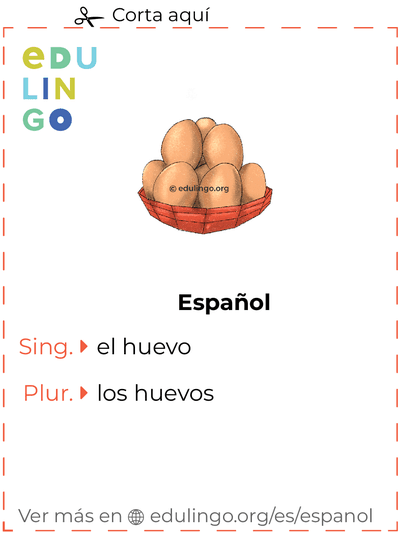Ficha de Vocabulario Huevo en español para imprimir, practicar y aprender