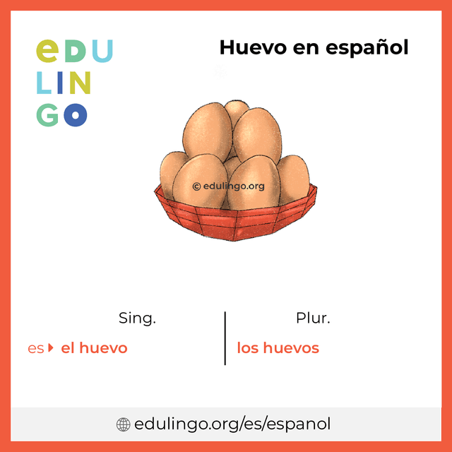 Imagen de vocabulario Huevo en español con singular y plural para descargar e imprimir