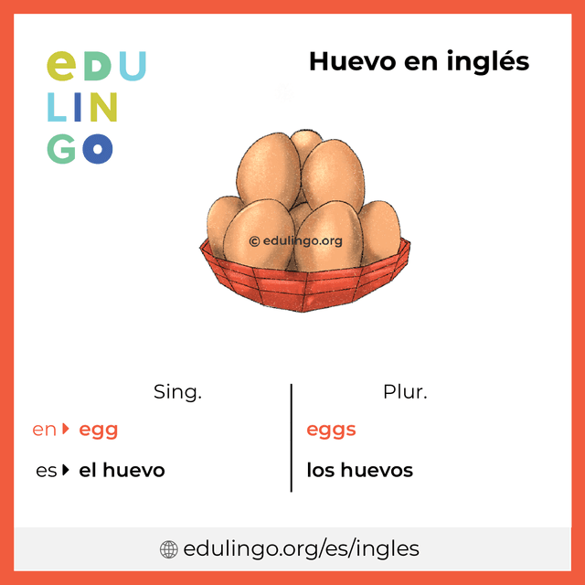 Imagen de vocabulario Huevo en inglés con singular y plural para descargar e imprimir