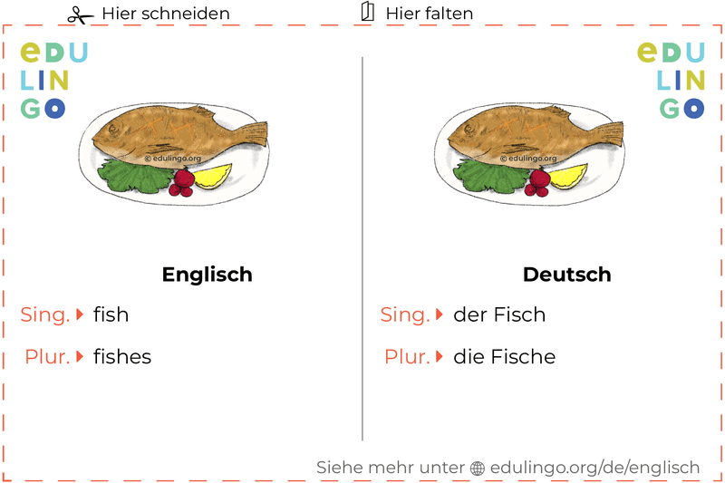 Fisch auf Englisch Vokabelkartei zum Ausdrucken, Üben und Lernen