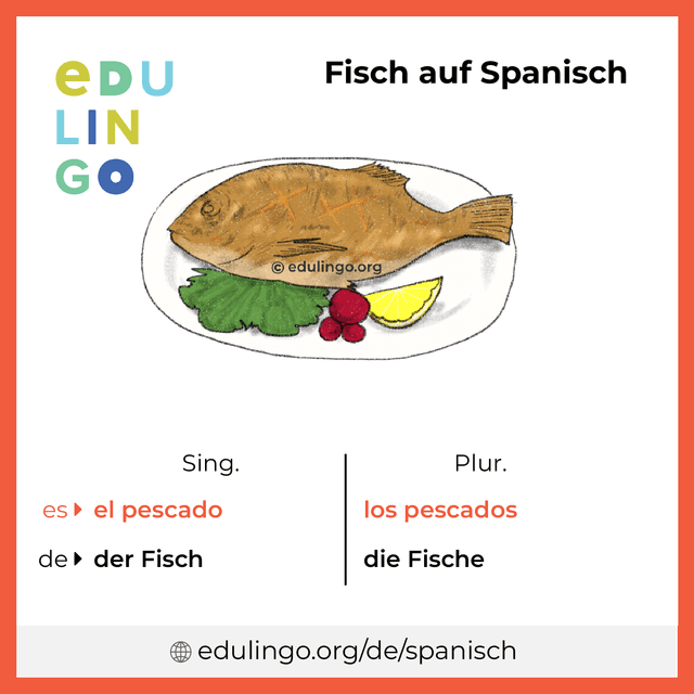 Fisch auf Spanisch Vokabelbild mit Singular und Plural zum Herunterladen und Ausdrucken
