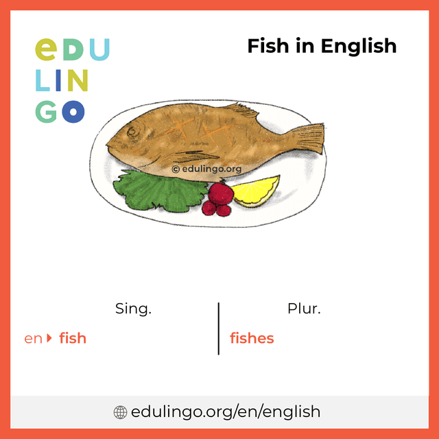 Fish in English vocabulary picture with singular and plural for download and printing