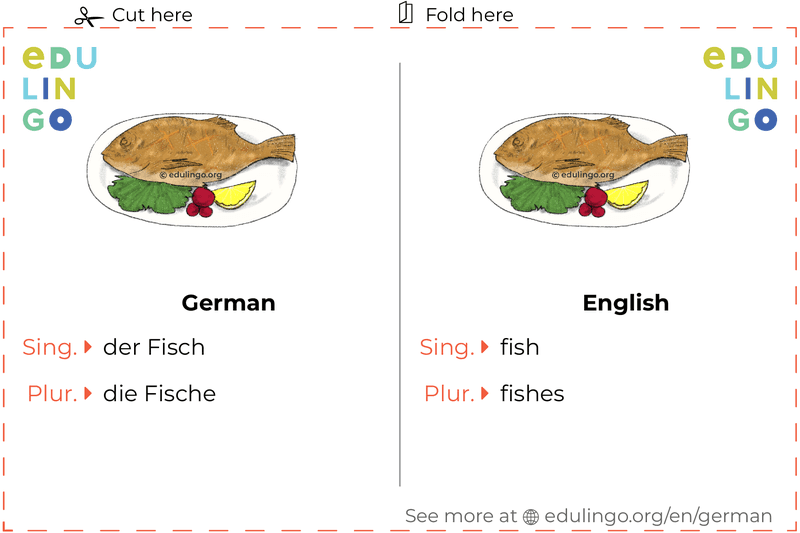 Fish in German vocabulary flashcard for printing, practicing and learning