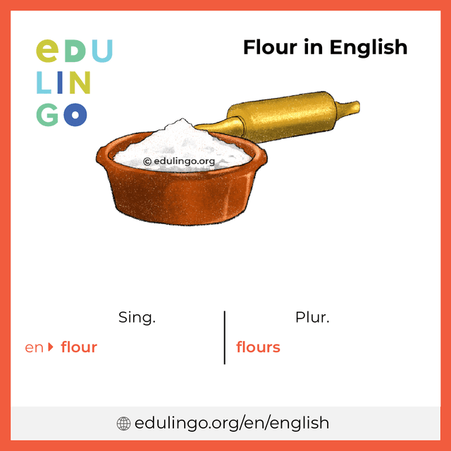 Flour in English vocabulary picture with singular and plural for download and printing