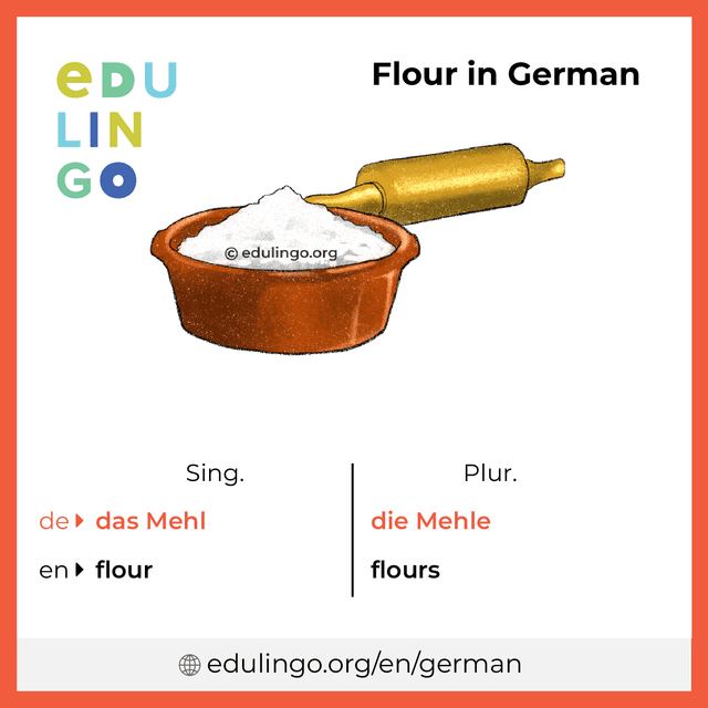 Flour in German vocabulary picture with singular and plural for download and printing