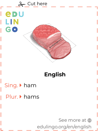 Ham in English vocabulary flashcard for printing, practicing and learning