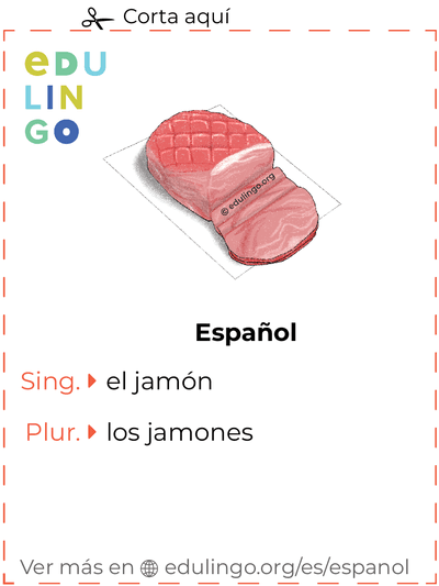 Ficha de Vocabulario Jamón en español para imprimir, practicar y aprender