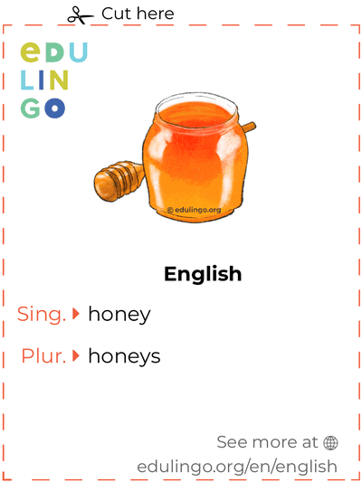 Honey in English vocabulary flashcard for printing, practicing and learning