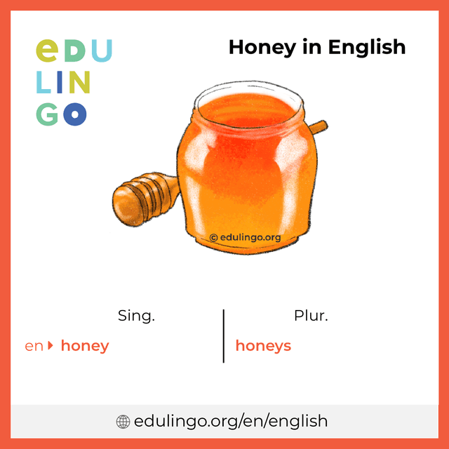 Honey in English vocabulary picture with singular and plural for download and printing
