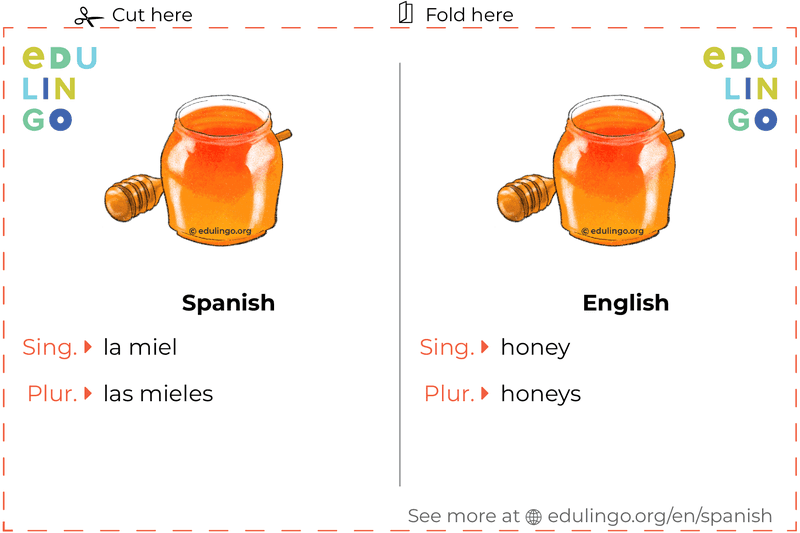 Honey in Spanish vocabulary flashcard for printing, practicing and learning