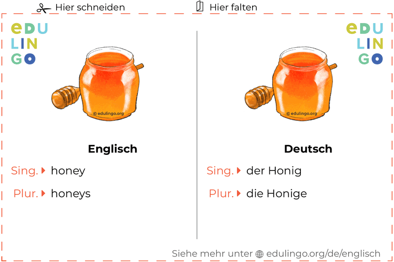 Honig auf Englisch Vokabelkartei zum Ausdrucken, Üben und Lernen