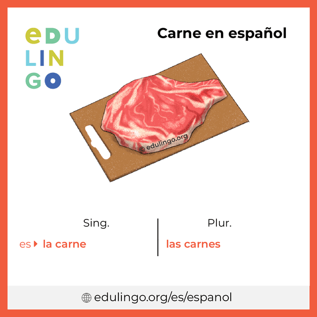 Imagen de vocabulario Carne en español con singular y plural para descargar e imprimir