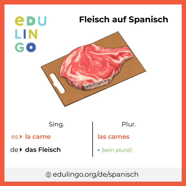 Fleisch auf Spanisch Vokabelbild mit Singular und Plural zum Herunterladen und Ausdrucken