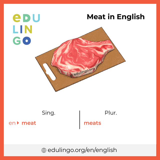 Meat in English vocabulary picture with singular and plural for download and printing
