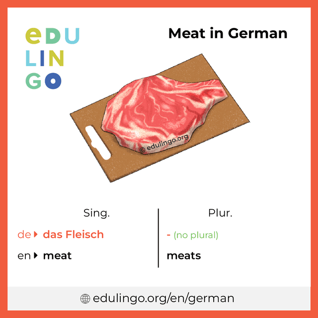 Meat in German vocabulary picture with singular and plural for download and printing