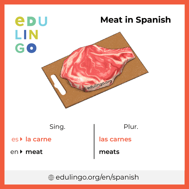 Meat in Spanish vocabulary picture with singular and plural for download and printing