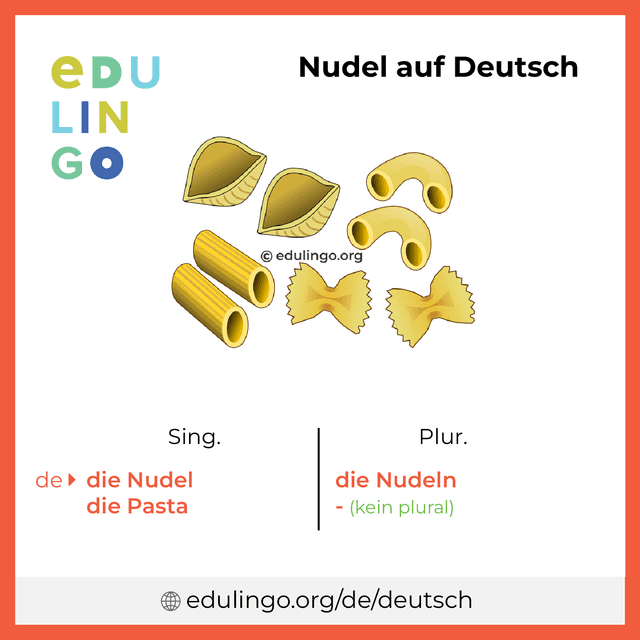 Nudel auf Deutsch Vokabelbild mit Singular und Plural zum Herunterladen und Ausdrucken