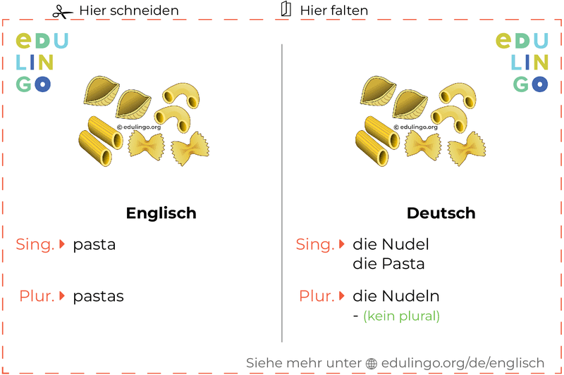 Nudel auf Englisch Vokabelkartei zum Ausdrucken, Üben und Lernen