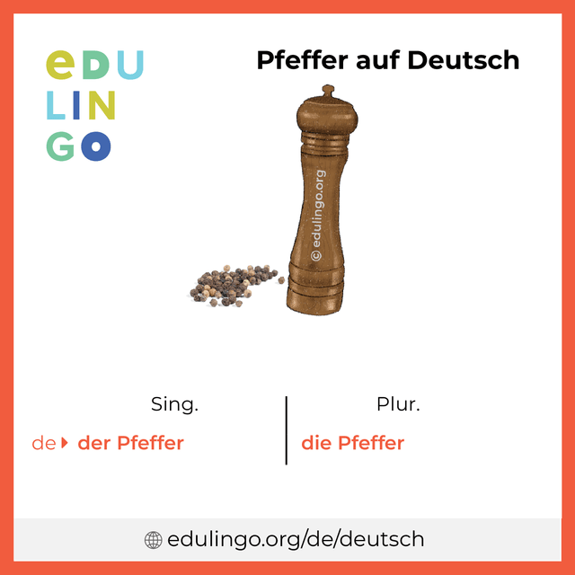 Pfeffer auf Deutsch Vokabelbild mit Singular und Plural zum Herunterladen und Ausdrucken